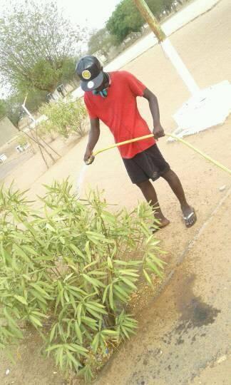 Senegal Green Spaces Mouhamedoune 3