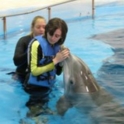 YES student in a pool with a dolphin