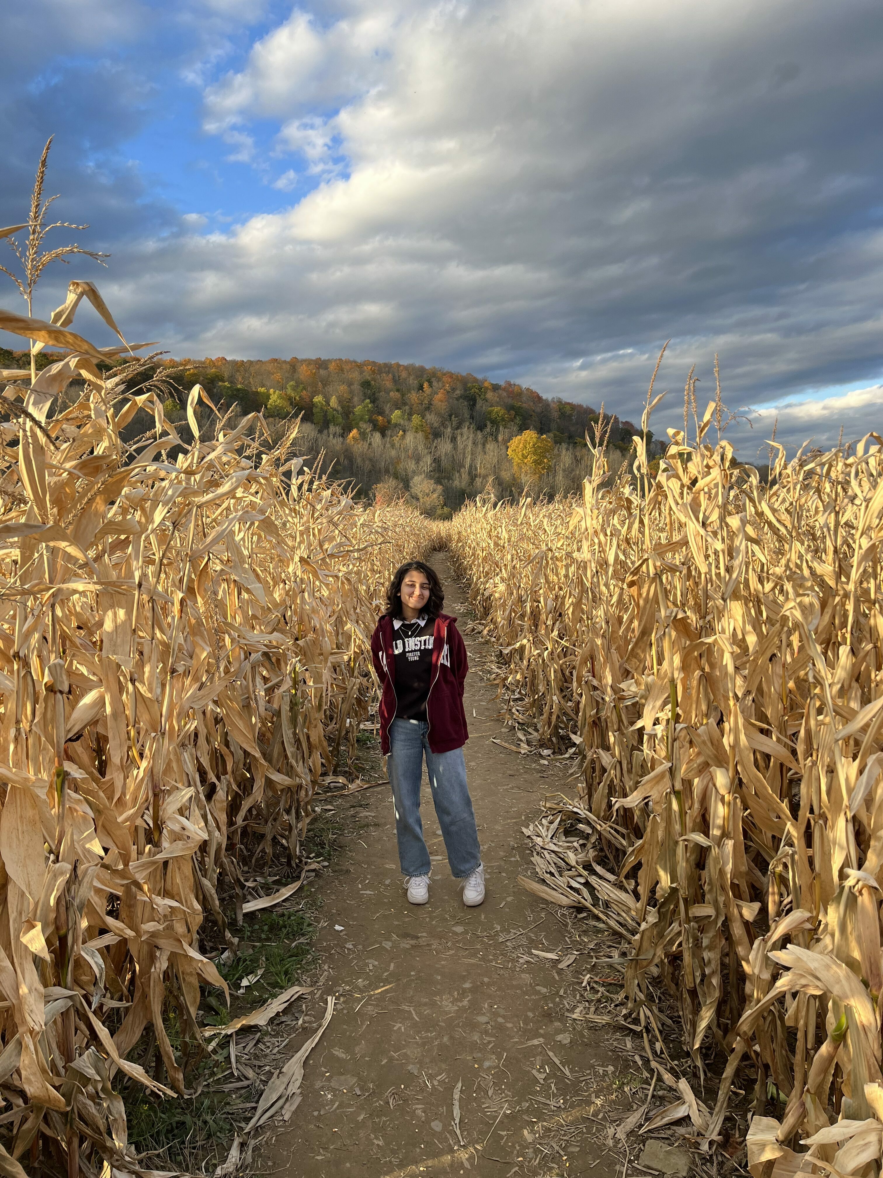 YES student standing in a corn maze.