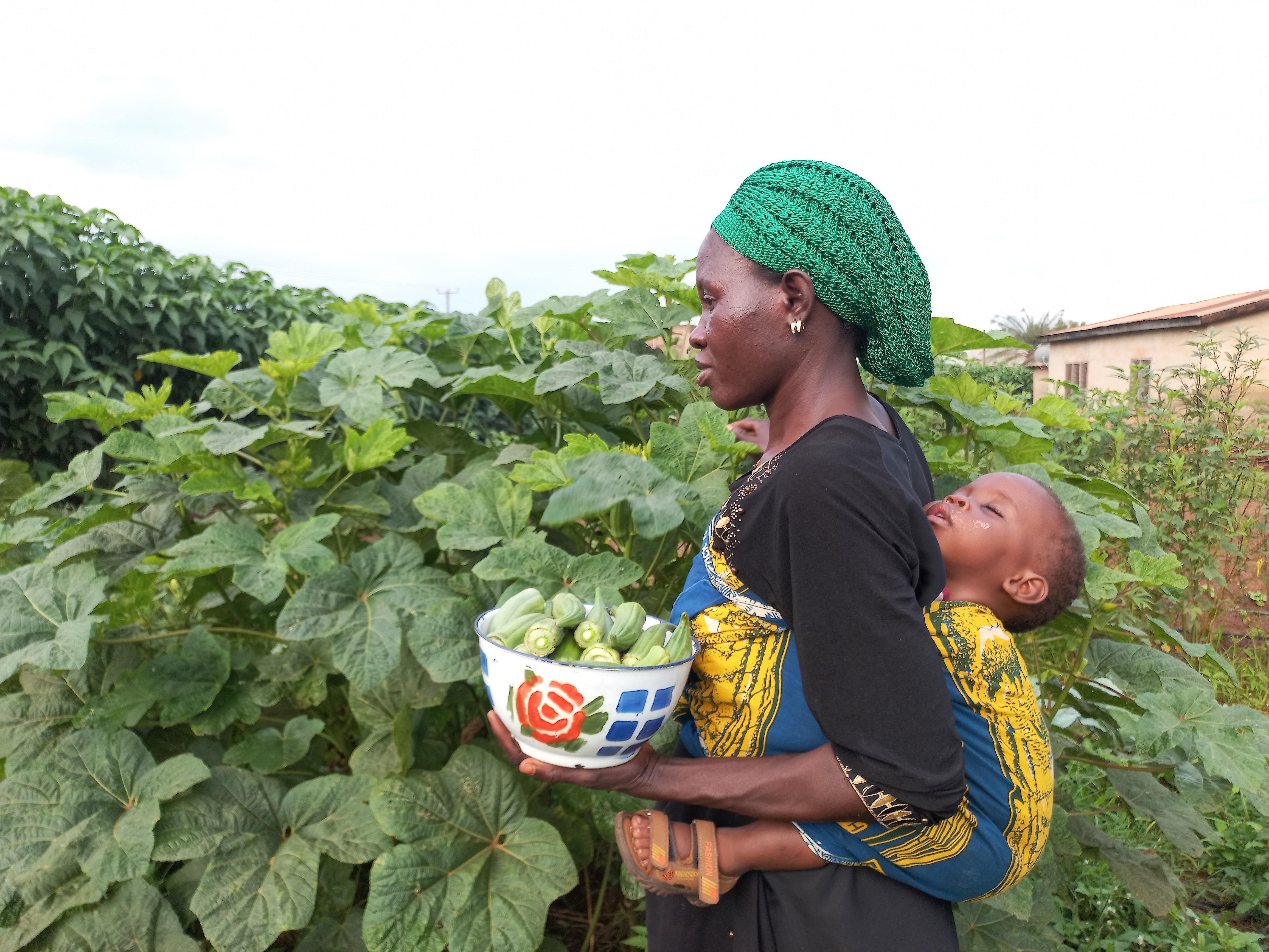 Woman holding a child in the garden and harvesting Okra into a bowl. 