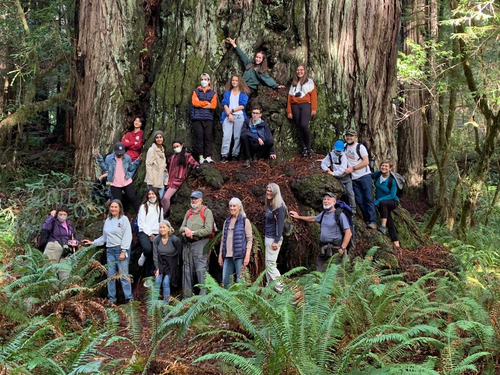 Anamta and members of the Northwest California AFS Chapter pose for a photo in front of the Redwoods in California. 