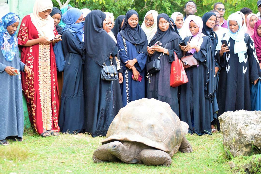Group of participants in nature looking at a big tortoise in the front