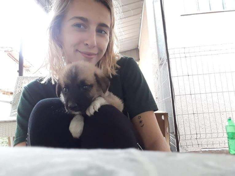 Marija Miteva At The Shalter Taking Care Of A Puppy