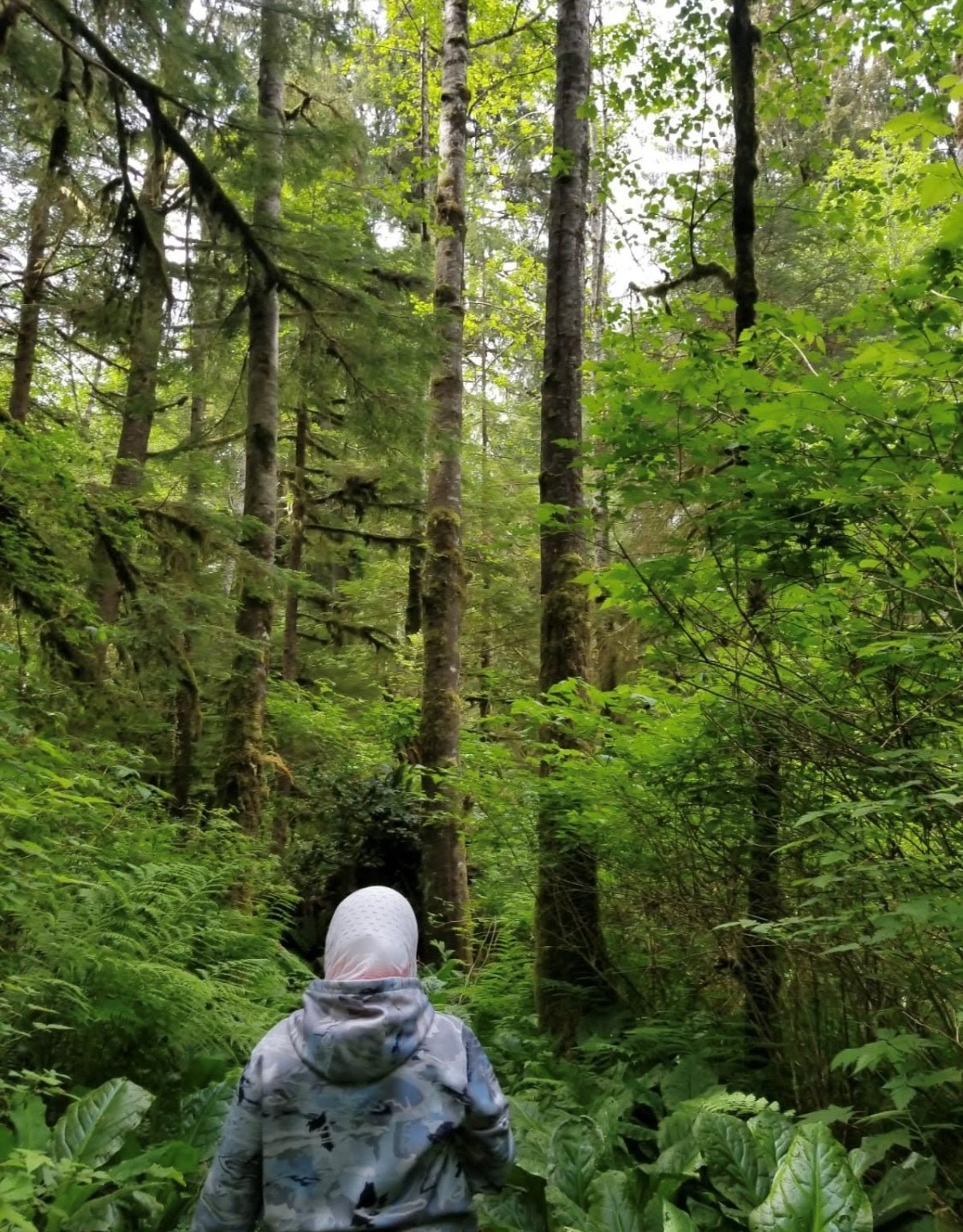 Noor hiking through a lush green forest in the Pacific Northwest. 