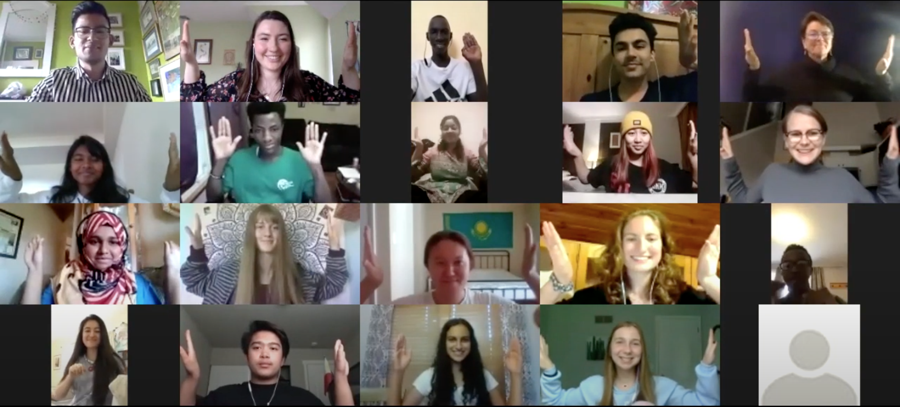 Zoom screenshot of webinar participants holding up their hands