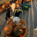 Fatima And Her Young Host Sister Pushing A Wheelbarrow Of Pumpkins