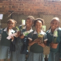 Four participants posing with their newly potted spekboom plants in their hands