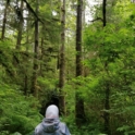 Noor hiking through a lush green forest in the Pacific Northwest. 