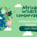A graphic that says "African Wildlife Conservation"