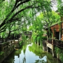 A peaceful river with trees overhanging the water